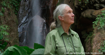 Jane Discusses the Horrors of Trophy Hunting