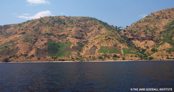 SDG Series Goal 15: Life on Land