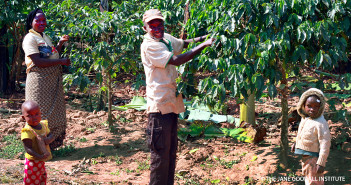 Supporting Sustainable Livelihoods Through Coffee in Tanzania