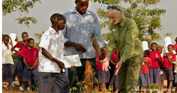 Crowdfunding Success – JGI Raises Funds for Herbal Medicine Project