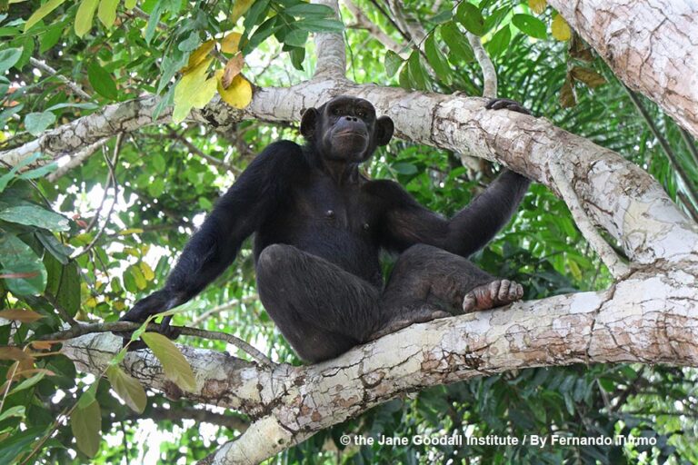 Recent Science Roundup