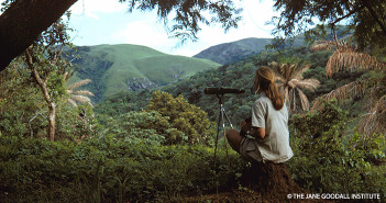 Jane Goodall on Forests: Lessons on Appreciation and Protection