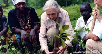 Celebrating Trees and Ensuring The Future of Forests