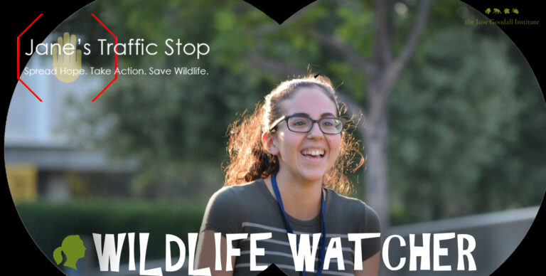 Jane’s Traffic Stop: Introducing Roots & Shoots Youth Wildlife Watcher Mady