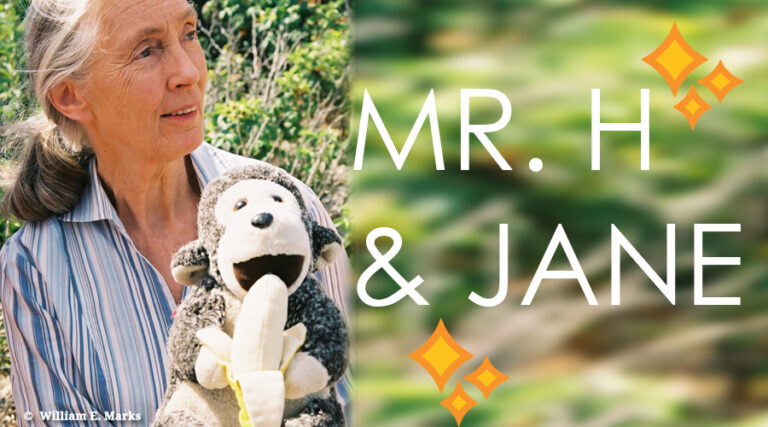 Celebrate Halloween With The Magical Mr. H!