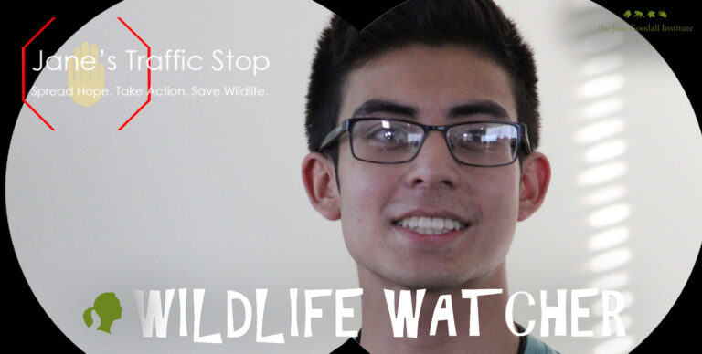 Jane’s Traffic Stop: Introducing Roots & Shoots Wildlife Watcher Nathan