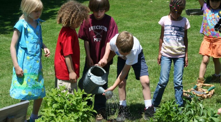 ROOTS & SHOOTS PROJECT OF THE MONTH (POTM) : A Peace of Earth