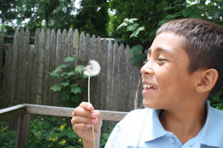 Finding Peace in a Time of Uncertainty