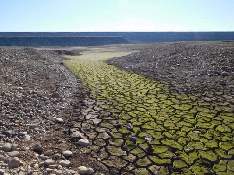 200 More Years of Drought, California? Time to Rethink Water Conservation Messages.