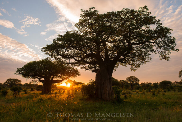 The Brutal Poetry of Nature
