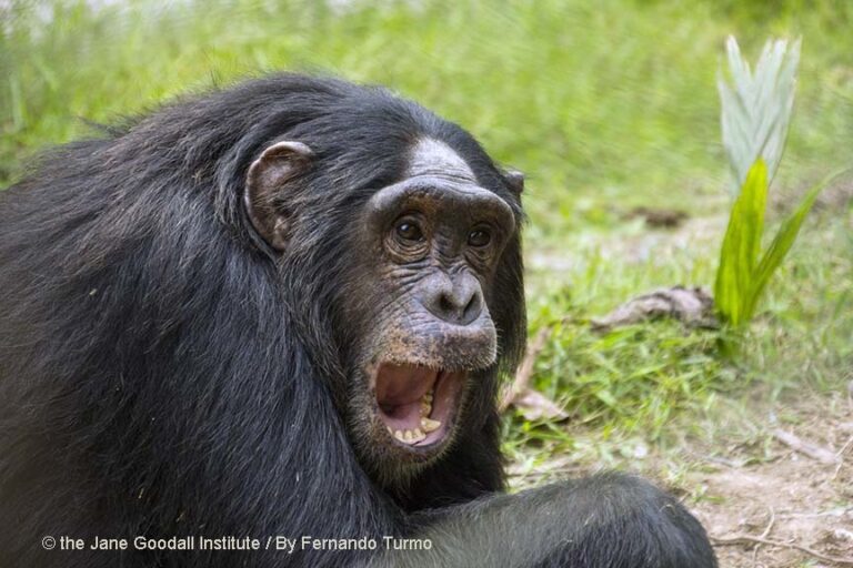 Stop the Show: Luc’s Story