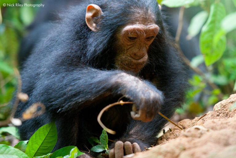 Recent Science Round Up