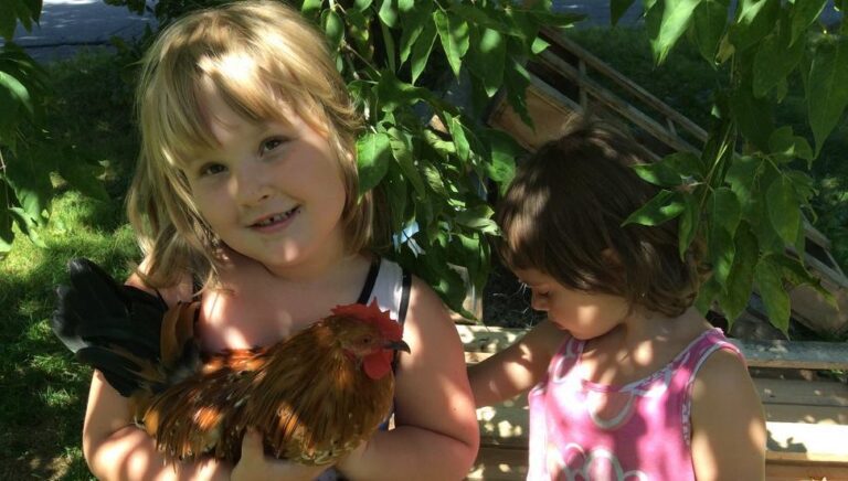 October Project of the Month (POTM): The Hero’s Journey to the Chicken Coop