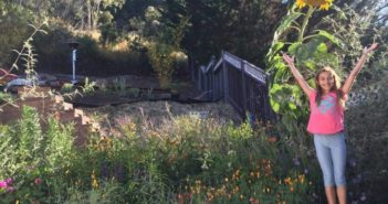One Girl’s Mission for Monarch Policy Metamorphosis