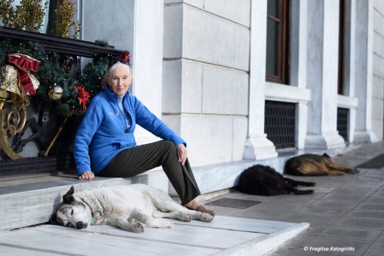 The “Jane Effect” Sparks Change and Hope in Greece