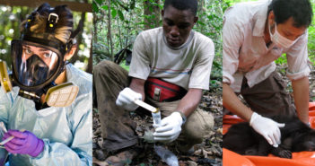Pathogens, Primates & Human Populations, OH MY! An Interview with Thomas Gillespie