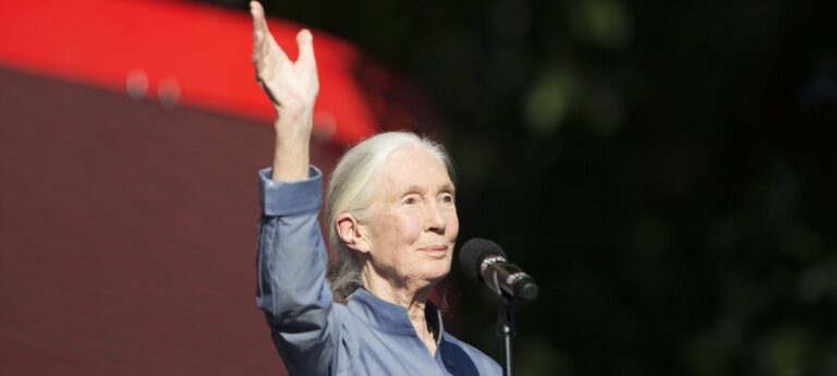Dr. Jane Goodall’s New Year Message for 2018