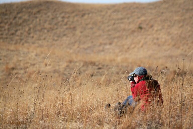 Here’s What 10 Years with Roots & Shoots Looks Like