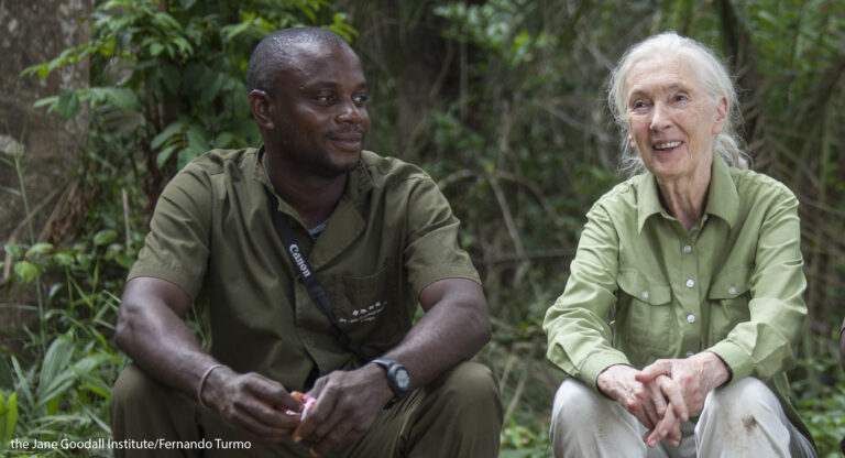 JGI’s Tchimpounga Staff Member Willy Put Extra Care in Caretaker
