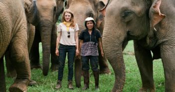 Elephant Documentary Proves All You Need is ‘Love and Bananas’