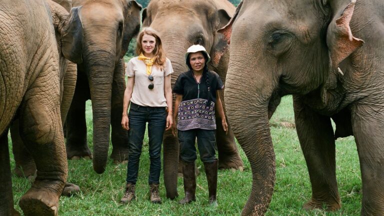 Elephant Documentary Proves All You Need is ‘Love and Bananas’