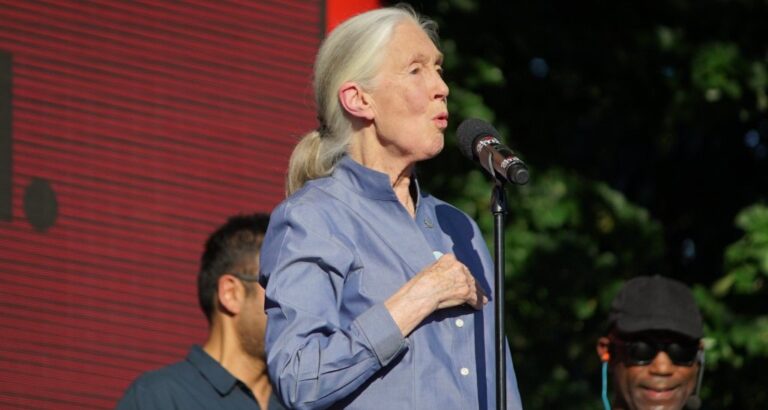 Jane is a Global Compassionate Citizen – Are You?