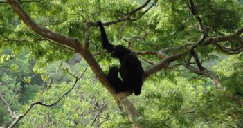 JGI is Growing Conservation Impact with $20 Million USAID Program