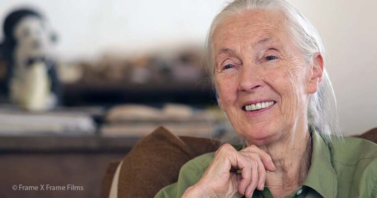 Protected: March 24, 2020: Special Message from Dr. Jane Goodall to JGI Family