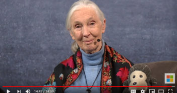 Hope Online: Dr. Goodall’s Skype in the Classroom Reaches 200k Students