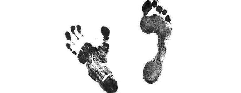 Now we must redefine man, or accept chimpanzees as…humans?