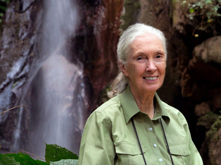 Dr. Jane Goodall’s Holiday Message 2019