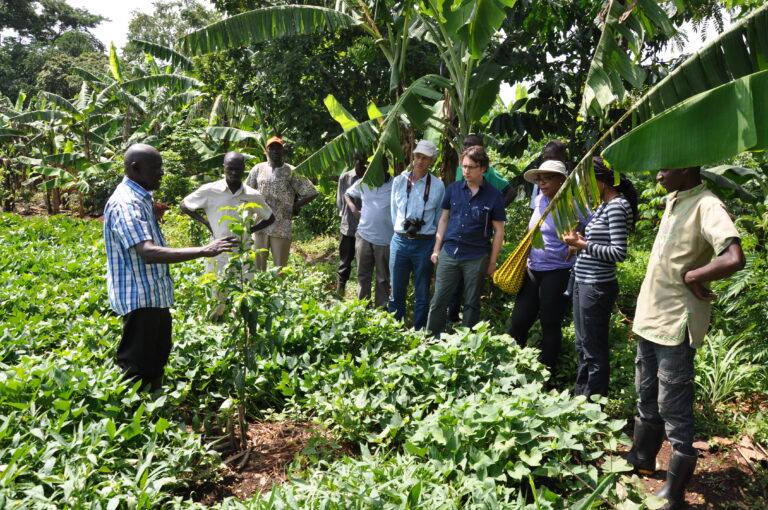 Humans & Wildlife Can Co-Exist In Uganda Through Holistic Solutions