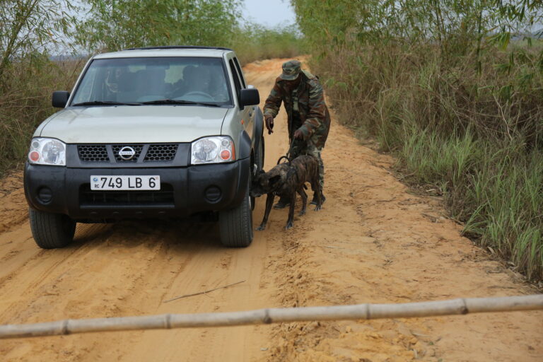 The Smell of Success in Fight Against Wildlife Trade