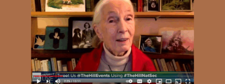 Dr. Jane Goodall & The Hill “Conservation and National Security” Interview