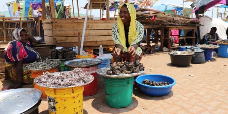 Microcredit Programs Empower and Improve Women’s Well-being