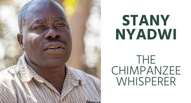 Stany Nyadwi: The Chimpanzee Whisperer