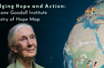 Photo of an elderly, feminine person with pale skin and white hair pulled into a ponytail (Dr. Jane Goodall) next to an image of the Earth with pins in it. Above are the words, "Bridging Hope & Action: The Jane Goodall Institute Tapestry of Hope Map."