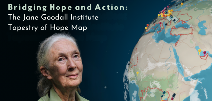 Photo of an elderly, feminine person with pale skin and white hair pulled into a ponytail (Dr. Jane Goodall) next to an image of the Earth with pins in it. Above are the words, "Bridging Hope & Action: The Jane Goodall Institute Tapestry of Hope Map."