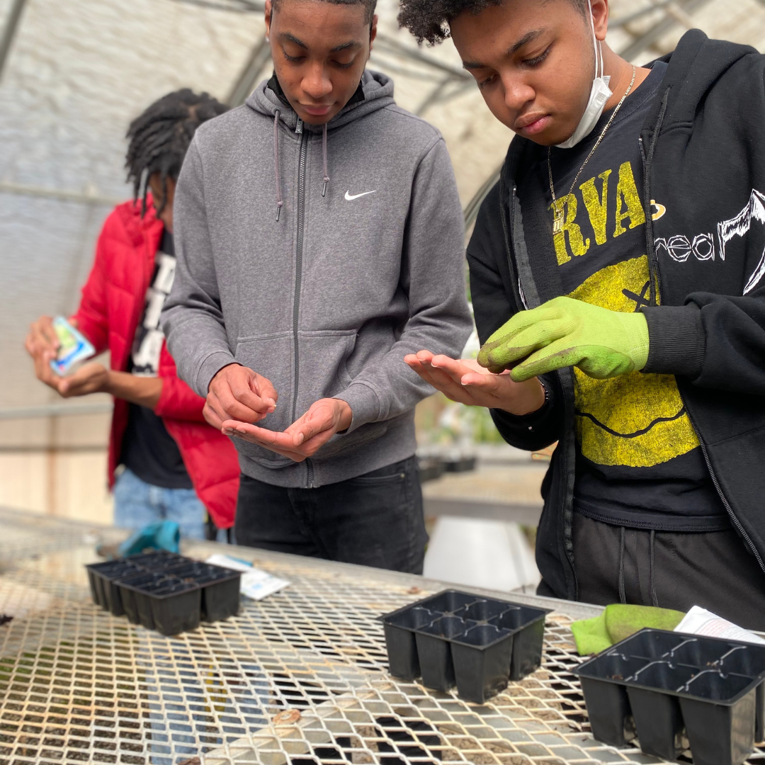Photo of three teenagers with brown skin and brown, curly hair planting seeds in plastic planters.
