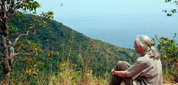 An older woman (Dr. Jane Goodall) sits on the ground, knees tucked in to her chest, with her arms clasped around her legs. She is in a beautiful outdoor setting, overlooking trees and water, and is gazing out onto the scenery. She wears her white hair tucked back into a low ponytail, a tan short-sleeved, button-down shirt and light green pants, and tan sandals.