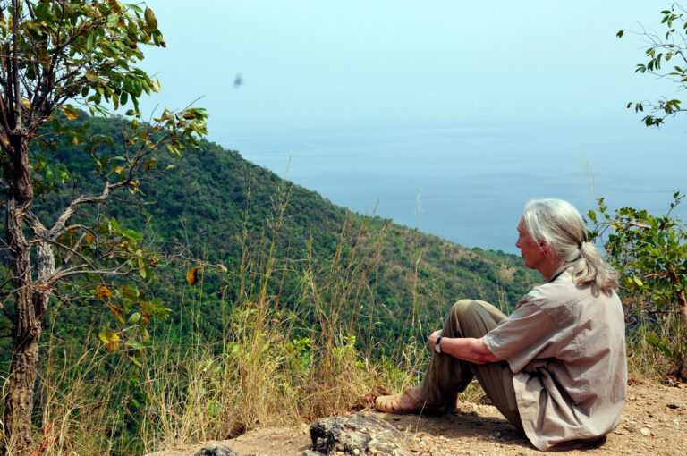 Statement from the Jane Goodall Institute Convention of Biological Diversity COP16 An older woman (Dr. Jane Goodall) sits on the ground, knees tucked in to her chest, with her arms clasped around her legs. She is in a beautiful outdoor setting, overlooking trees and water, and is gazing out onto the scenery. She wears her white hair tucked back into a low ponytail, a tan short-sleeved, button-down shirt and light green pants, and tan sandals.