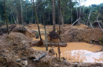 A patch of forested area in a state of destruction including tree stumps, piles of dirt, and puddles of mud.
