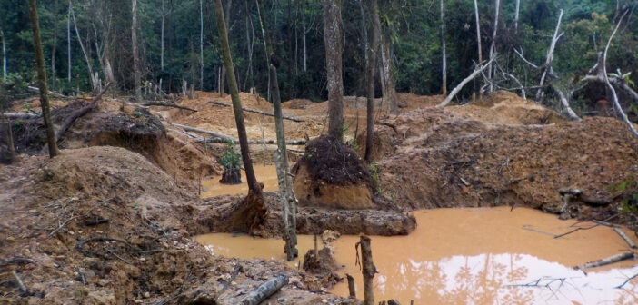 A patch of forested area in a state of destruction including tree stumps, piles of dirt, and puddles of mud.