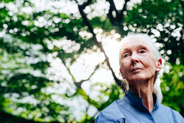 The Jane Goodall Institute’s Impact: Hope as a Mechanism for Change
