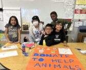 Rising from the Ashes