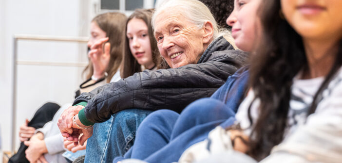 Protected: Dr. Jane’s Passing: How We Can Best Support Children And Young People During Their Grief Process.