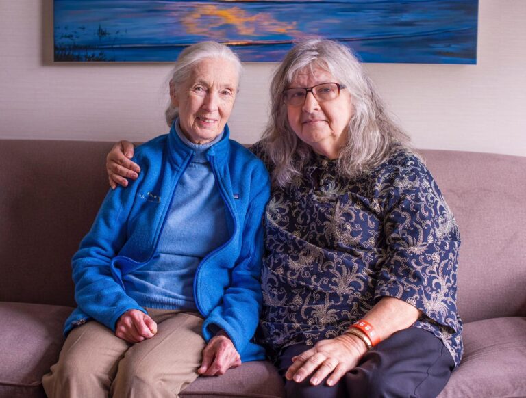 The Jane Goodall Institute USA Remembers Dr. Biruté Galdikas for Her Orangutan Research and Conservation Advocacy Two older women, one with a white ponytail and light skin (Dr. Jane Goodall) and the other with gray, shoulder-length hair and light skin (Birute Galdikas) sit together on a couch.